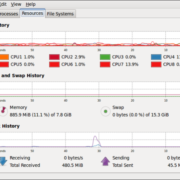 check memory usage in Linux
